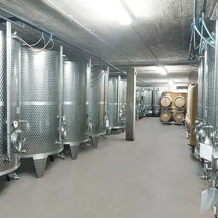 Und Weingut Moselblick 게스트하우스 브라운버그