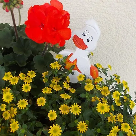 Und Weingut Moselblick Pensjonat 3*