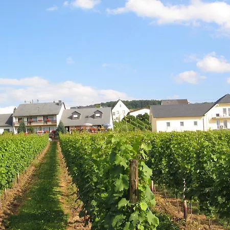 게스트하우스 Und Weingut Moselblick 브라운버그