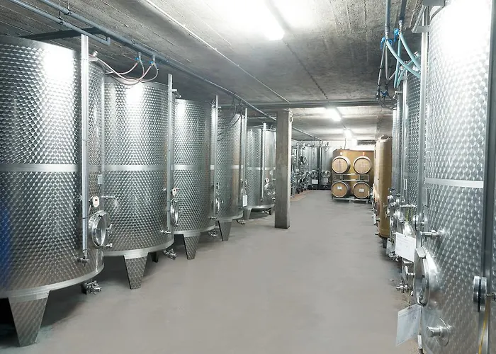 Und Weingut Moselblick Pensjonat Brauneberg