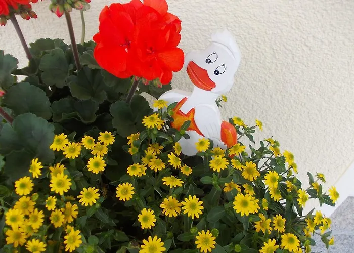 Und Weingut Moselblick 게스트하우스 3*