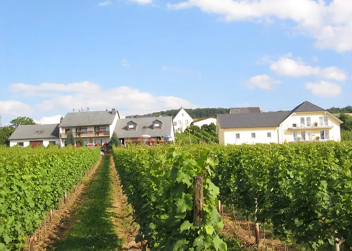 Pensjonat Und Weingut Moselblick Brauneberg